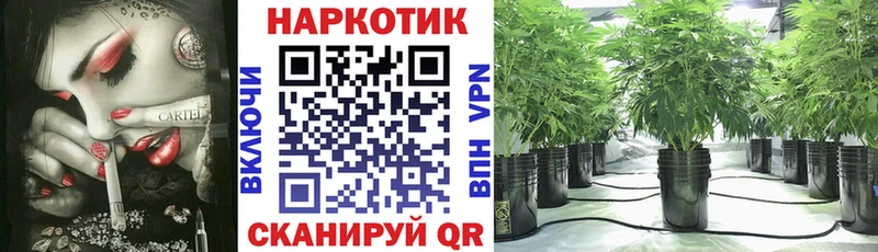 Магазины продажи наркотиков Артёмовск ГАШ  Альфа ПВП  Меф  Марихуана  Cocaine 