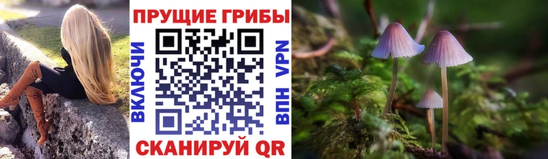 Галлюциногенные грибы GOLDEN TEACHER это Telegram Артёмовск где продают наркотики