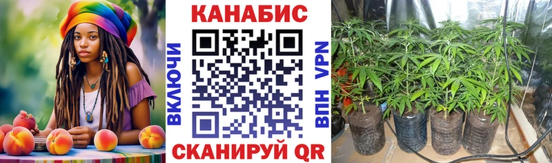 Бошки Шишки ГИДРОПОН Артёмовск